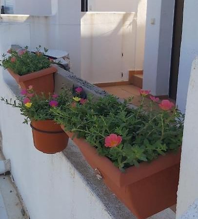 Apartmán Condado De Alhama, Naranjos 8 Alhama de Murcia Exteriér fotografie